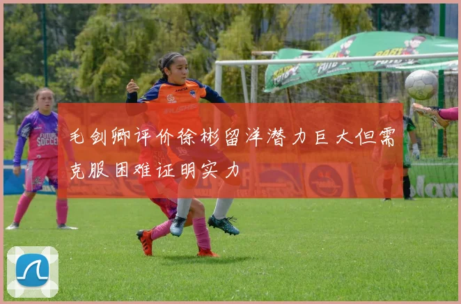 毛剑卿评价徐彬留洋潜力巨大但需克服困难证明实力