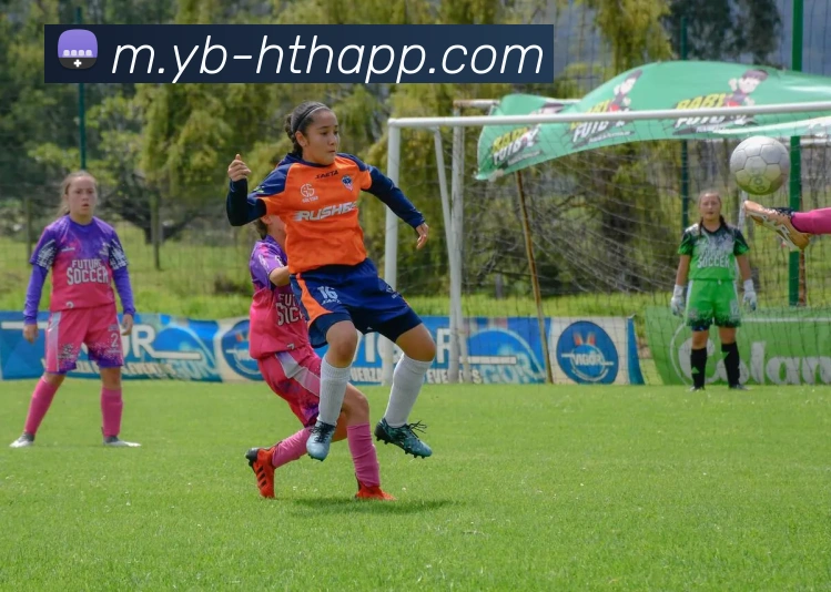 多媒体互动体验